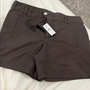 LOFT NWT Women's Dark Brown Shorts Size 6
